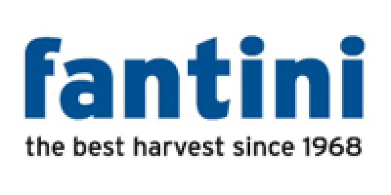 fantini