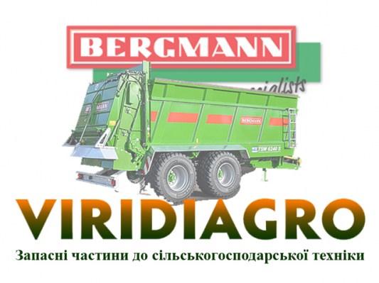 bergmann1